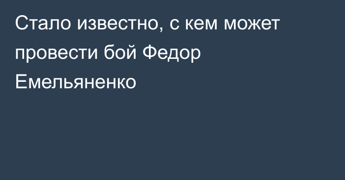 Стало известно, с кем может провести бой Федор Емельяненко