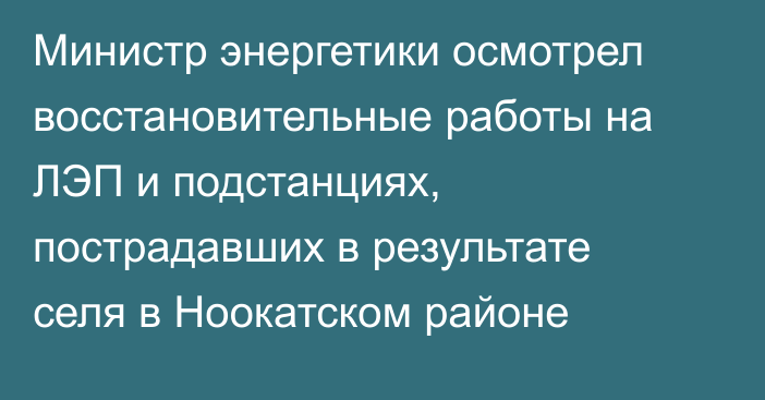 Министр энергетики осмотрел восстановительные работы на ЛЭП и подстанциях, пострадавших в результате селя в Ноокатском районе