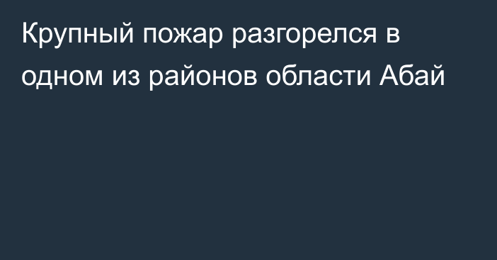 Крупный пожар разгорелся в одном из районов области Абай