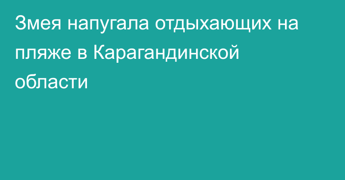 Змея напугала отдыхающих на пляже в Карагандинской области