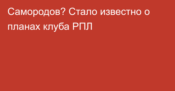 Самородов? Стало известно о планах клуба РПЛ