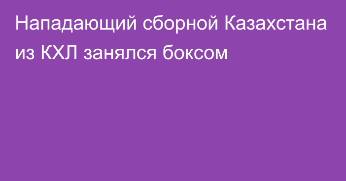 Нападающий сборной Казахстана из КХЛ занялся боксом