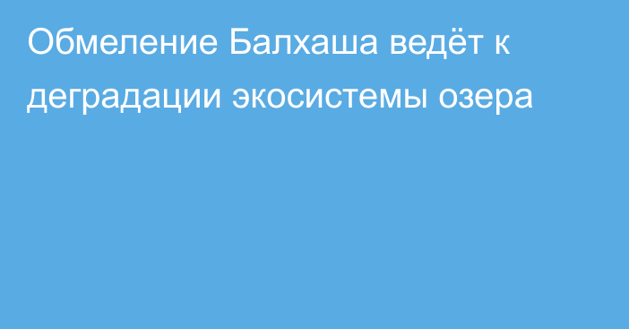 Обмеление Балхаша ведёт к деградации экосистемы озера