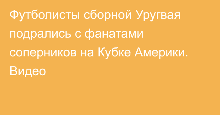 Футболисты сборной Уругвая подрались с фанатами соперников на Кубке Америки. Видео