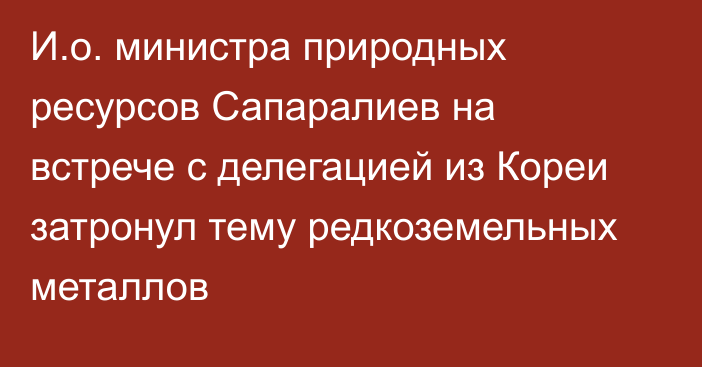 И.о. министра природных ресурсов Сапаралиев на встрече с делегацией из Кореи затронул тему редкоземельных металлов