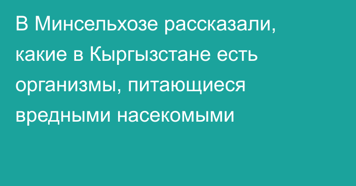 В Минсельхозе рассказали, какие в Кыргызстане есть организмы, питающиеся вредными насекомыми