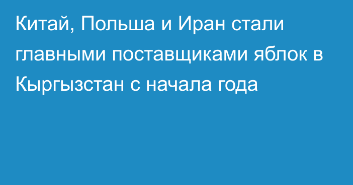 Китай, Польша и Иран стали главными поставщиками яблок в Кыргызстан с начала года