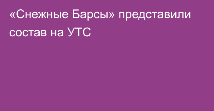 «Снежные Барсы» представили состав на УТС