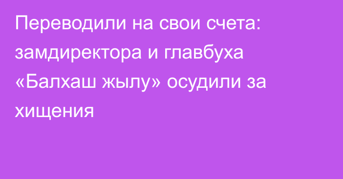 Переводили на свои счета: замдиректора и главбуха «Балхаш жылу» осудили за хищения