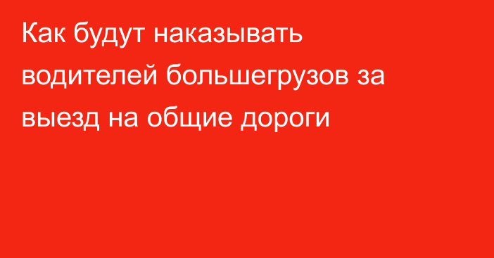 Как будут наказывать водителей большегрузов за выезд на общие дороги