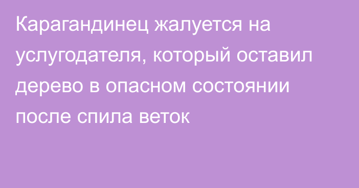 Карагандинец жалуется на услугодателя, который оставил дерево в опасном состоянии после спила веток