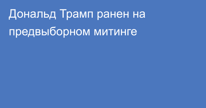 Дональд Трамп ранен на предвыборном митинге