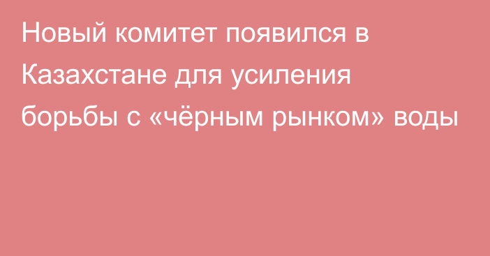 Новый комитет появился в Казахстане для усиления борьбы с «чёрным рынком» воды