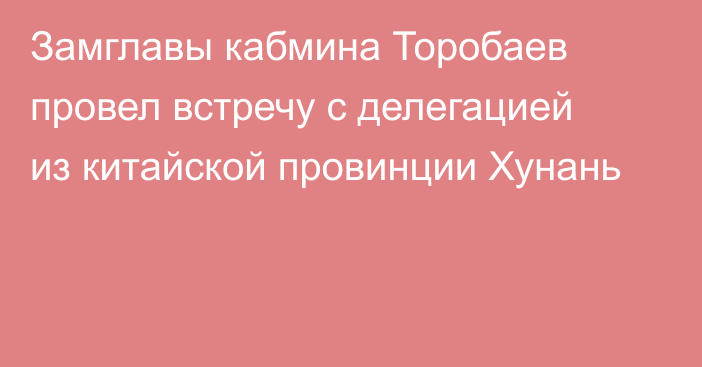 Замглавы кабмина Торобаев провел встречу с делегацией из китайской провинции Хунань