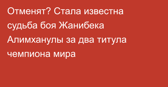 Отменят? Стала известна судьба боя Жанибека Алимханулы за два титула чемпиона мира