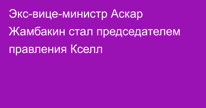 Экс-вице-министр Аскар Жамбакин стал председателем правления Кселл