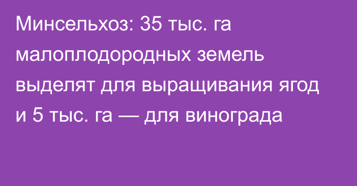 Минсельхоз: 35 тыс. га малоплодородных земель выделят для выращивания ягод и 5 тыс. га — для винограда