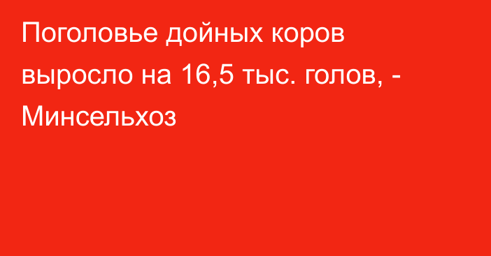 Поголовье дойных коров выросло на 16,5 тыс. голов, - Минсельхоз