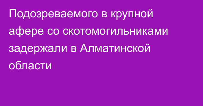 Подозреваемого в крупной афере со скотомогильниками задержали в Алматинской области