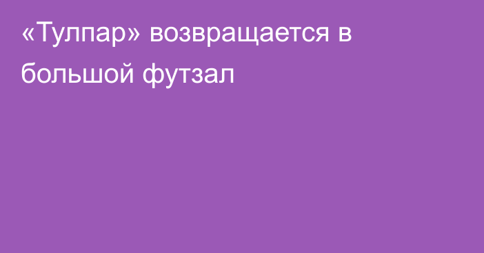 «Тулпар» возвращается в большой футзал