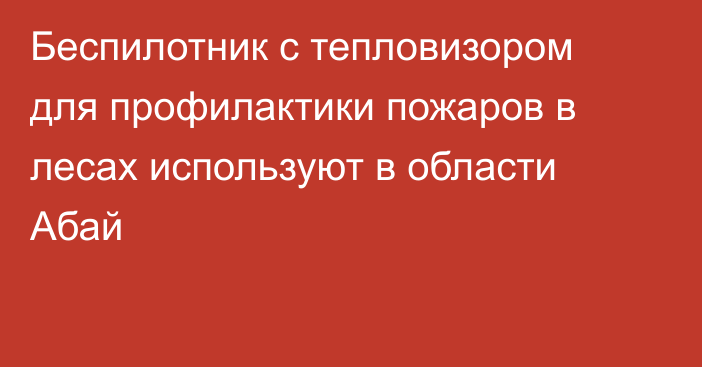 Беспилотник с тепловизором для профилактики пожаров в лесах используют в области Абай