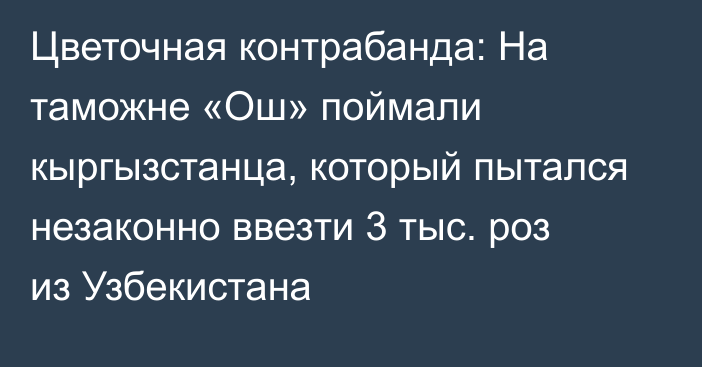 Цветочная контрабанда: На таможне «Ош» поймали кыргызстанца, который пытался незаконно ввезти 3 тыс. роз из Узбекистана