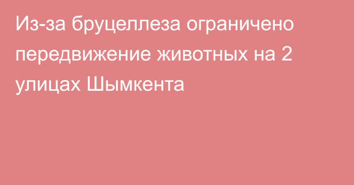 Из-за бруцеллеза ограничено передвижение животных на 2 улицах Шымкента