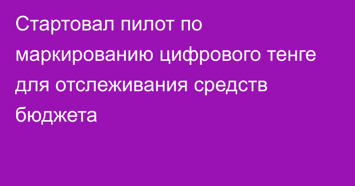 Стартовал пилот по маркированию цифрового тенге для отслеживания средств бюджета