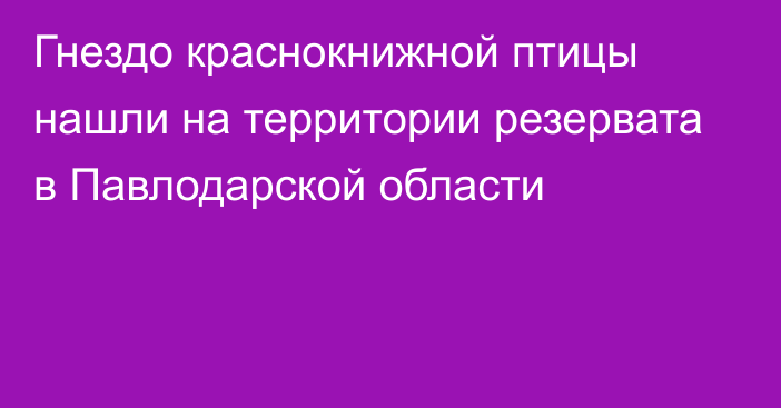 Гнездо краснокнижной птицы нашли на территории резервата в Павлодарской области