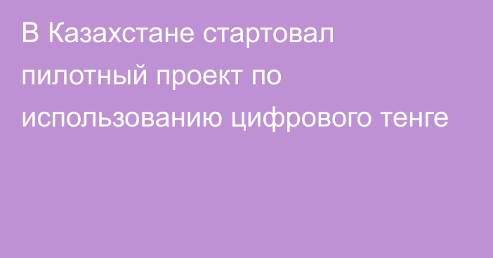 В Казахстане стартовал пилотный проект по использованию цифрового тенге