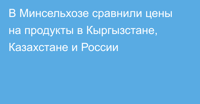 В Минсельхозе сравнили цены на продукты в Кыргызстане, Казахстане и России