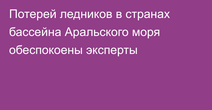 Потерей ледников в странах бассейна Аральского моря обеспокоены эксперты