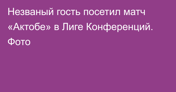 Незваный гость посетил матч «Актобе» в Лиге Конференций. Фото