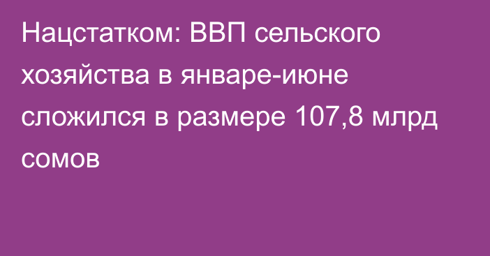 Нацстатком: ВВП сельского хозяйства в январе-июне сложился в размере 107,8 млрд сомов