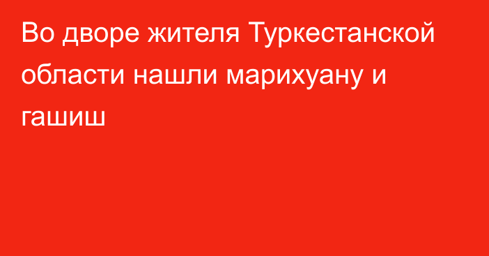 Во дворе жителя Туркестанской области нашли марихуану и гашиш