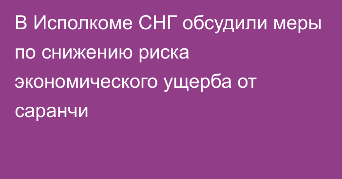 В Исполкоме СНГ обсудили меры по снижению риска экономического ущерба от саранчи