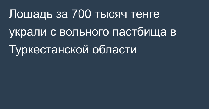 Лошадь за 700 тысяч тенге украли с вольного пастбища в Туркестанской области