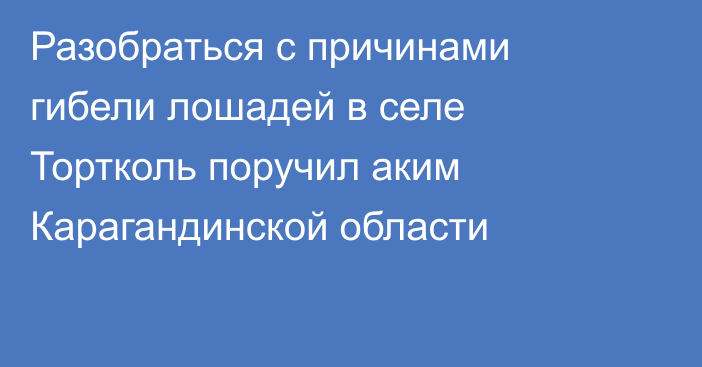 Разобраться с причинами гибели лошадей в селе Тортколь поручил аким Карагандинской области