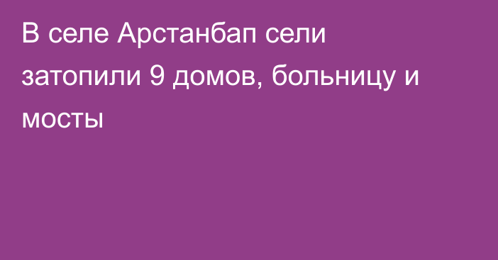 В селе Арстанбап сели затопили 9 домов, больницу и мосты