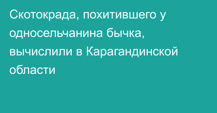 Скотокрада, похитившего у односельчанина бычка, вычислили в Карагандинской области