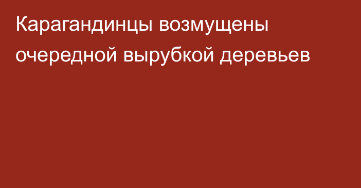 Карагандинцы возмущены очередной вырубкой деревьев