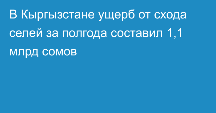 В Кыргызстане ущерб от cхода селей за полгода составил 1,1 млрд сомов