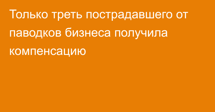 Только треть пострадавшего от паводков бизнеса получила компенсацию