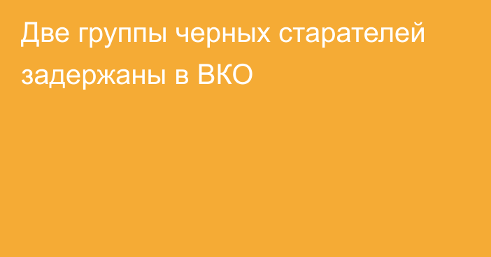 Две группы черных старателей задержаны в ВКО