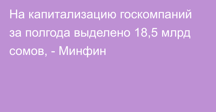 На капитализацию госкомпаний за полгода выделено 18,5 млрд сомов, - Минфин