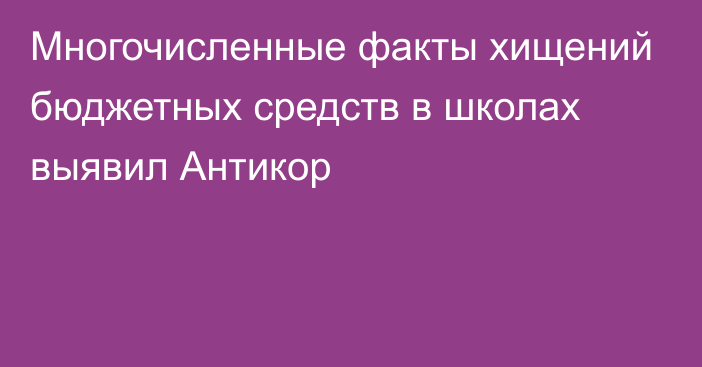 Многочисленные факты хищений бюджетных средств в школах выявил Антикор