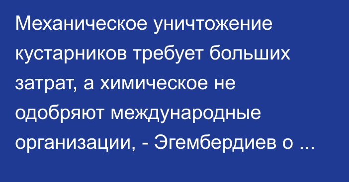 Механическое уничтожение кустарников требует больших затрат, а химическое не одобряют международные организации, - Эгембердиев о борьбе с алтыгана