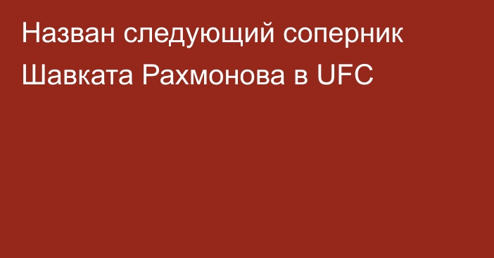 Назван следующий соперник Шавката Рахмонова в UFC