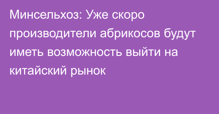 Минсельхоз: Уже скоро производители абрикосов будут иметь возможность выйти на китайский рынок