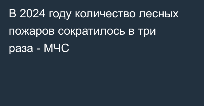 В 2024 году количество лесных пожаров сократилось в три раза - МЧС